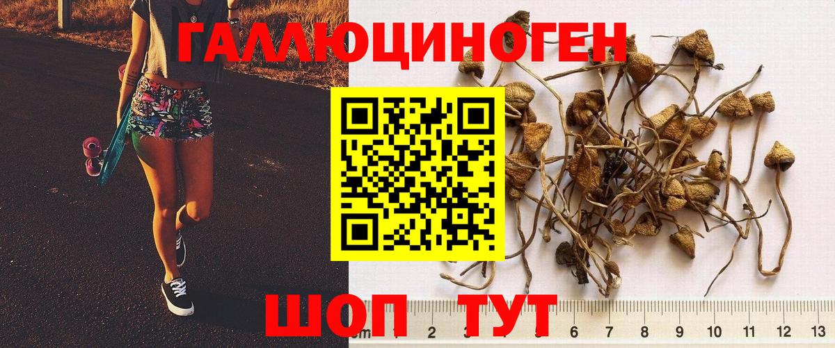 Галлюциногенные грибы MAGIC MUSHROOMS  Вход с VPN  Топки 